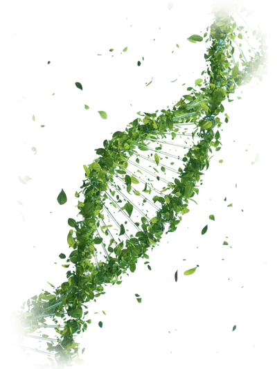 2️⃣ En soutien à nos inconforts
