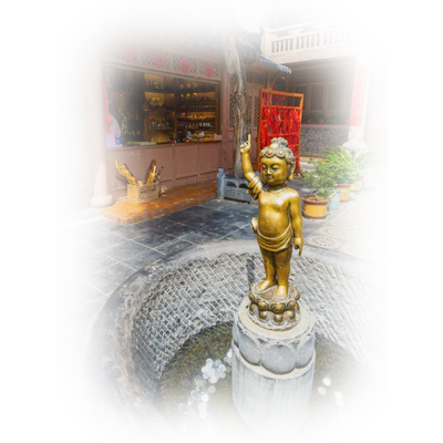 ✨️ Pourquoi choisir l'Énergétique Traditionnelle Chinoise ?