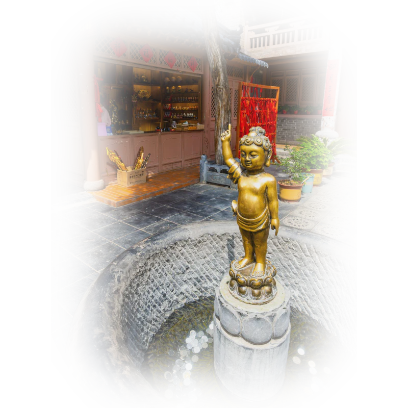 ✨ Pourquoi choisir l'Énergétique Traditionnelle Chinoise ?
