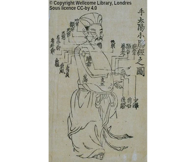 ☀️ Pourquoi les points « d'Acupuncture »?